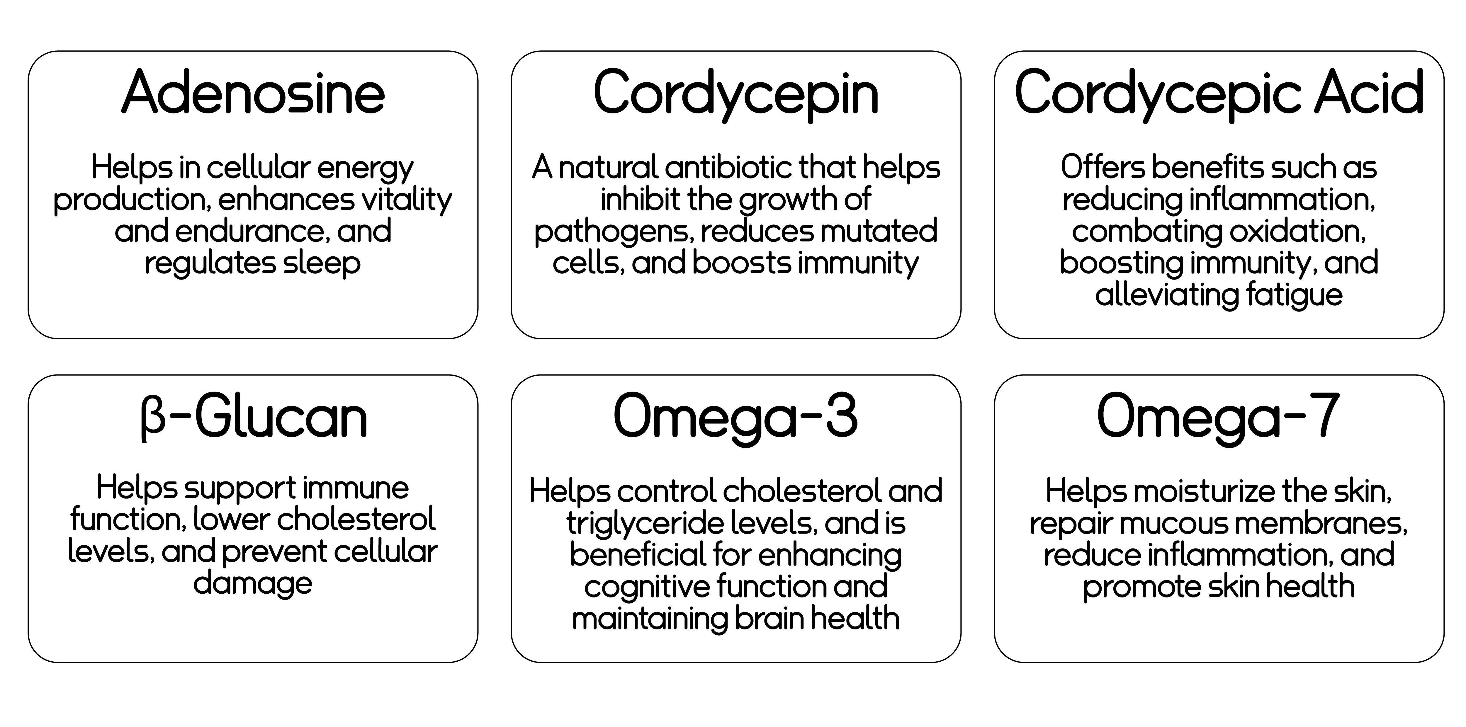 Bioactive Functions-01
