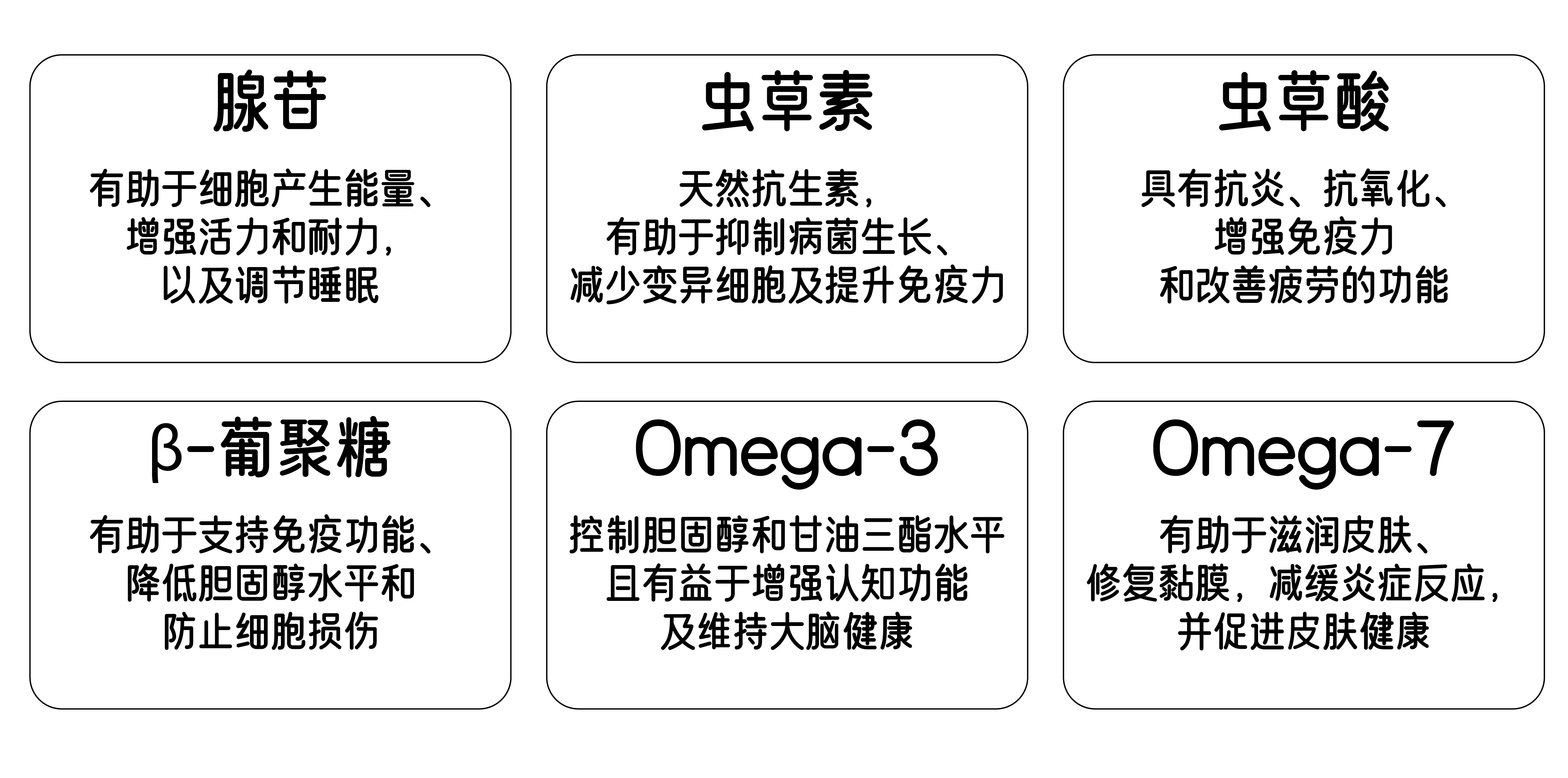 Bioactive Functions-02